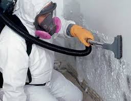 Best Basement Mold Removal  in Girardville, PA